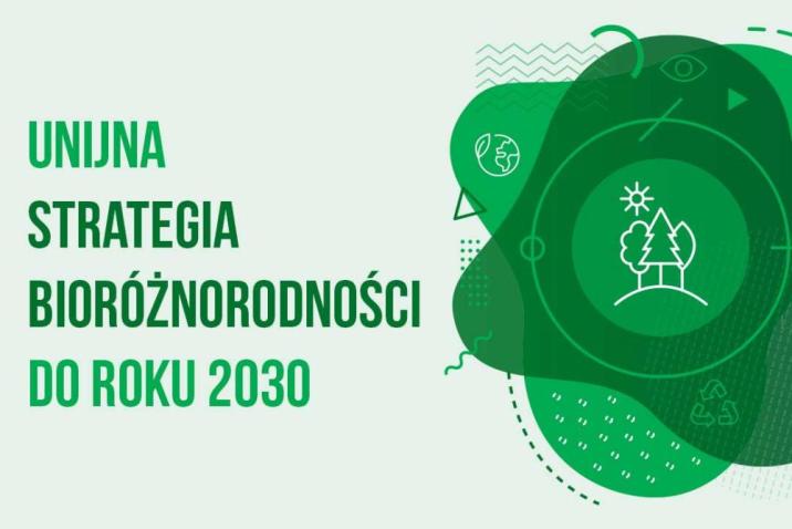 Ekspertyzy&#x20;dotyczące&#x20;unijnej&#x20;strategii&#x20;dla&#x20;bioróżnorodności
